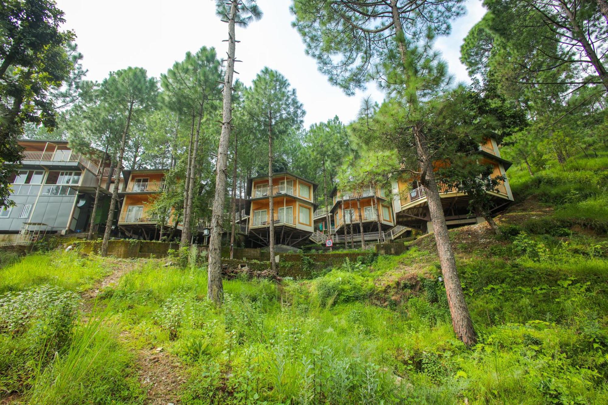 The Woods Retreat Hotel Lansdowne Ngoại thất bức ảnh